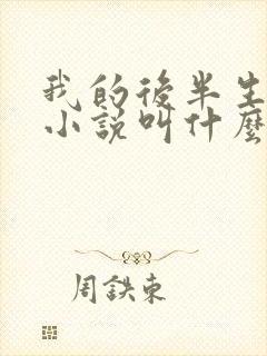 我的后半生原著小说叫什么