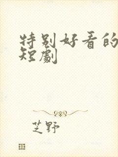 特别好看的网剧短剧