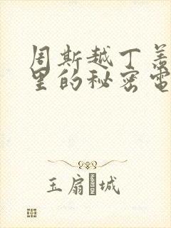 周斯越丁羡暗格里的秘密电视剧