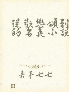 从欢乐颂到人民的名义小说