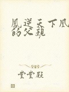 凤逆天下凰北月的父亲