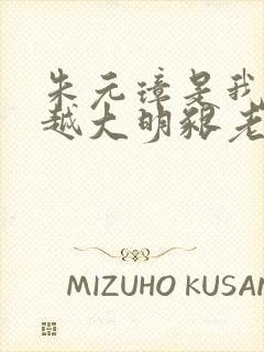 朱元璋是我爹穿越大明啃老朱波小说