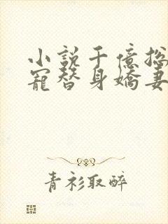 小说千亿总裁独宠替身娇妻全文阅读