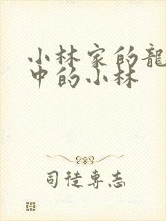 小林家的龙女仆中的小林