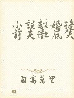 小说离婚后豪门前夫彻底失了控完结版