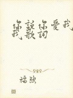 你说你爱我你想我歌词