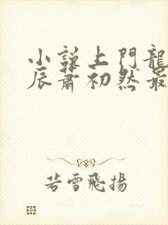 小说上门龙婿叶辰萧初然最新更新