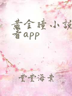 黄金瞳小说免费看app