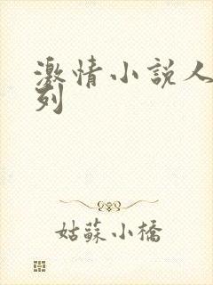 激情小说人妻系列