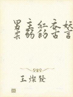 男主红衣妖孽装柔弱的古言