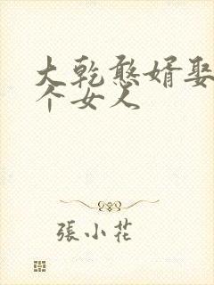 大乾憨婿娶了几个女人