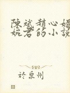 陈斌赵心媚和高婉君的小说