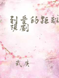 到爱的距离 电视剧