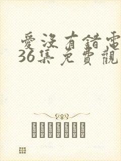 爱没有错电视剧36集免费观看