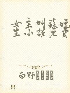 女主叫苏晚的重生小说免费阅读