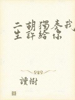 二胡独奏我把来生许给你