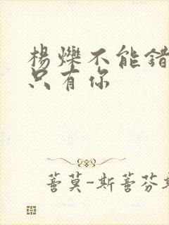 杨烁不能错过的只有你