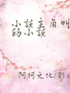 小说主角叫陆云的小说