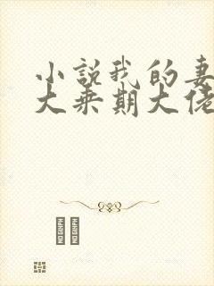 小说我的妻子是大乘期大佬免费