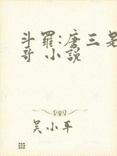 斗罗:唐三是我哥 小说