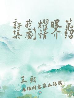 许我耀眼第17集剧情介绍