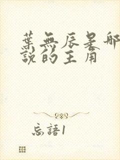 叶无辰是哪部小说的主角