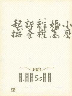 起诉离婚小孩的抚养权怎么判