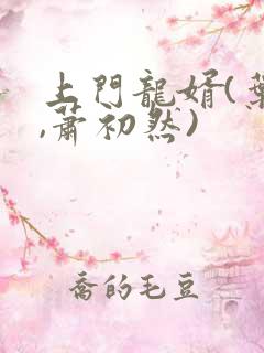 上门龙婿(叶辰,萧初然)