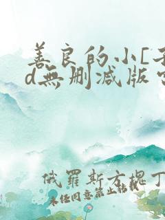 善良的小[子hd无删减版电