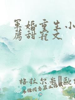 军婚重生小说推荐甜宠文