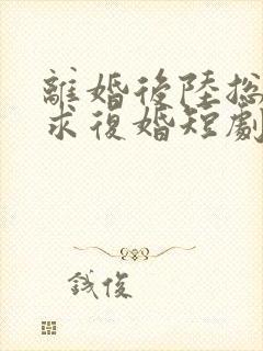 离婚后陆总哭着求复婚短剧