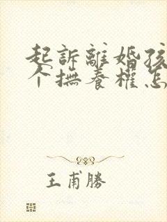 起诉离婚孩子两个抚养权怎么判