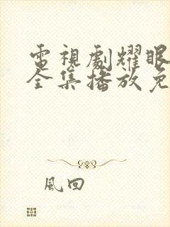 电视剧耀眼的她全集播放免费观看