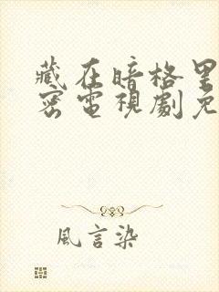 藏在暗格里的秘密电视剧免费观看