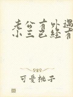 老公有外遇外面小三已经有小孩了该怎么办