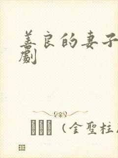 善良的妻子 韩剧