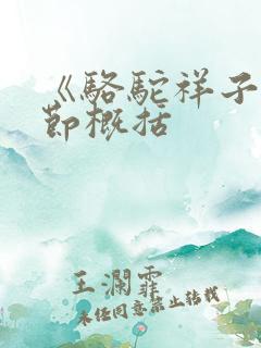 《骆驼祥子》章节概括