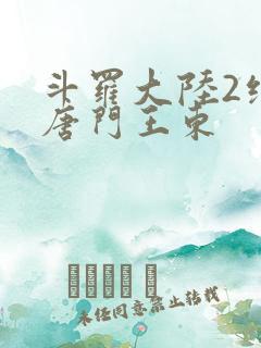 斗罗大陆2绝世唐门王东