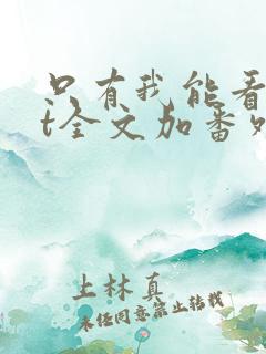 只有我能看txt全文加番外