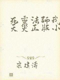 死灵法师我即是天灾正版小说