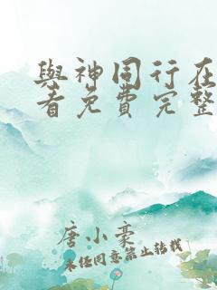 与神同行在线观看免费完整版高清