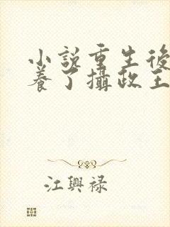 小说重生后我娇养了摄政王小说