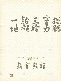 一胎三宝总裁爹地超给力听书