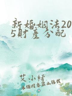 新婚姻法2025财产分配