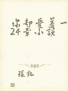 你却爱着一个他24章小说