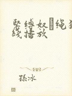 紧缚奴隷绳狂在线播放