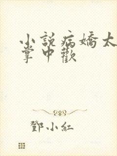 小说病娇太子的掌中欢