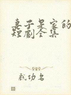 妻子是家的核心短剧全集