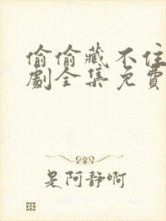 偷偷藏不住电视剧全集免费观