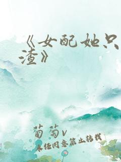 《女配她只想被渣》